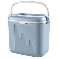 CURVER KOELBOX LARGE 33 LITER ()